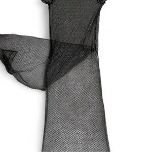 Elegant Black Sheer Dress